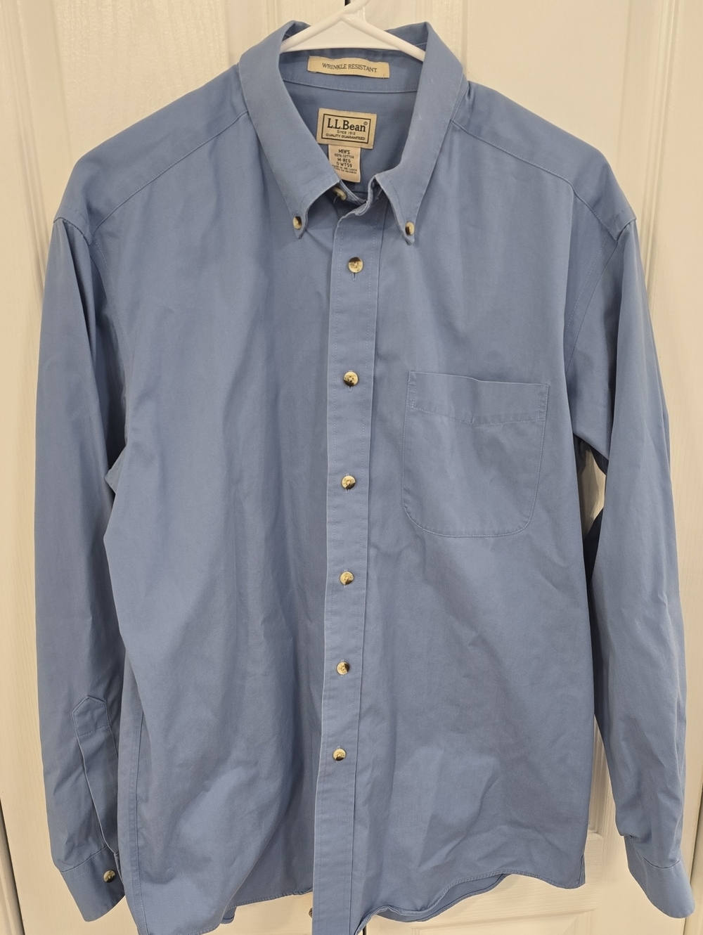 L.L. Bean Light Blue Long-Sleeve Button-Down Shirt